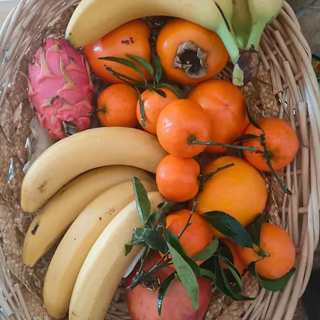 Casa De Buenos Dias Apartment Torrevieja