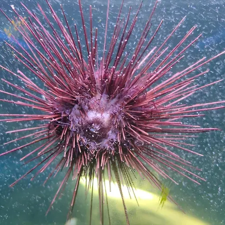 Casa De Buenos Dias Apartment *