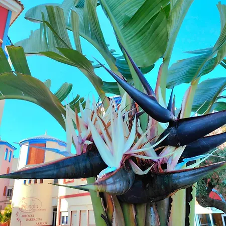 Casa De Buenos Dias *