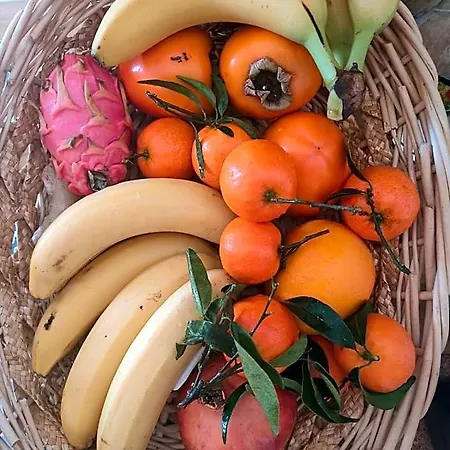 Casa De Buenos Dias דירה טורבייחה