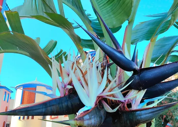 Casa De Buenos Dias *