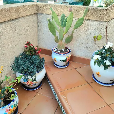 Casa De Buenos Dias