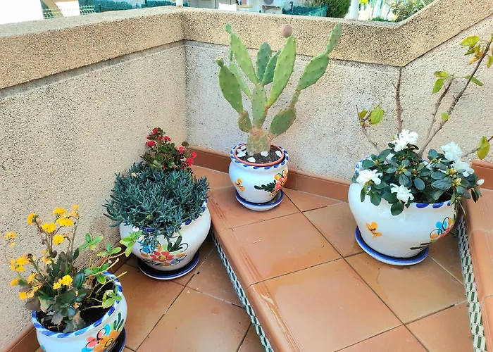 Casa De Buenos Dias